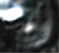 e0103408_13524324.gif