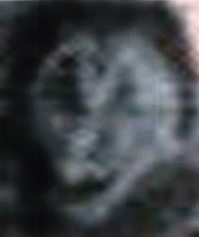 e0103408_13531744.gif