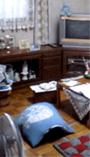e0103408_13533173.gif