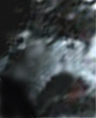 e0103408_1353353.gif