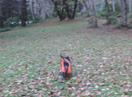 e0078510_16304543.jpg