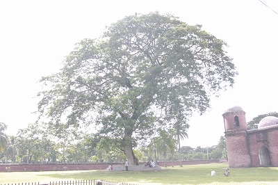d0182220_21584288.jpg