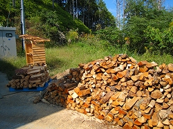 e0002820_1902726.jpg