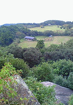 e0195323_21121190.jpg