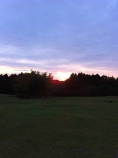 e0195323_21131848.jpg