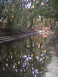 c0212929_1495125.jpg
