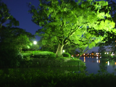d0159829_18314812.jpg