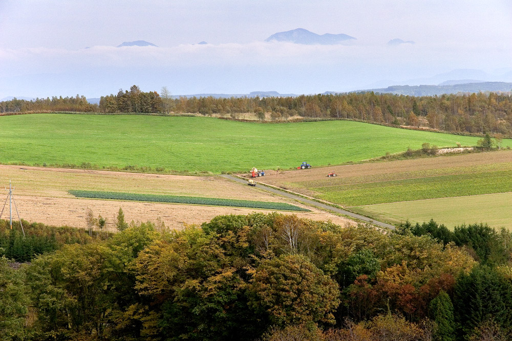 d0136836_11113495.jpg
