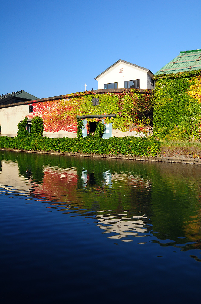 c0221838_2029817.jpg