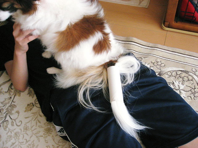 a0149240_1211030.jpg