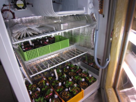 c0025140_23232826.jpg