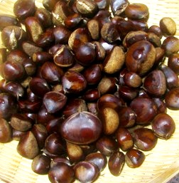 c0204740_2023878.jpg