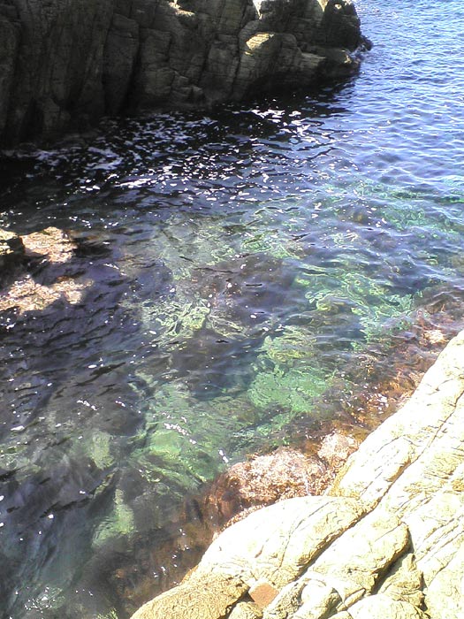 e0006242_1635113.jpg