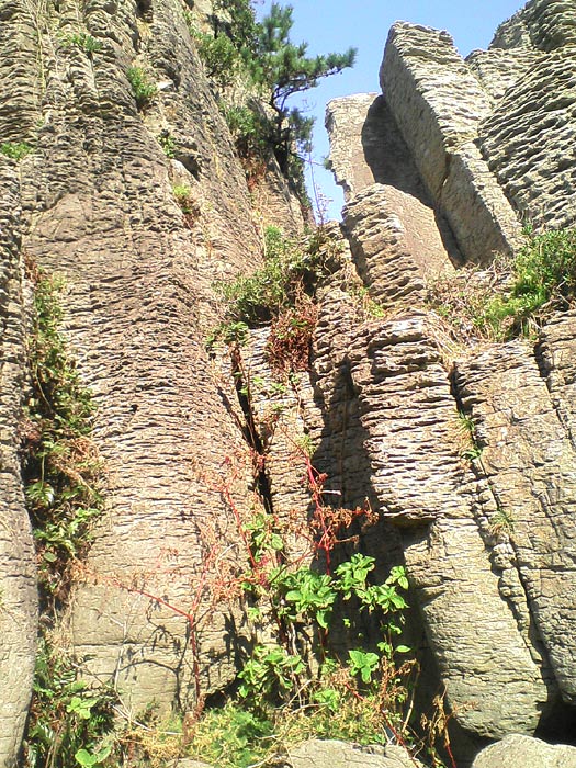 e0006242_16351399.jpg