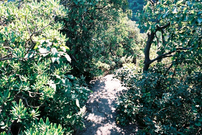 e0006242_1635696.jpg
