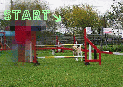 a0142343_10322162.gif