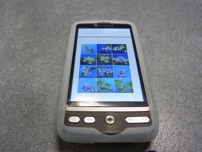 d0022845_283153.jpg