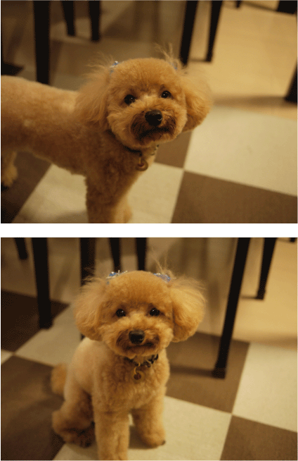 b0182846_22271559.gif