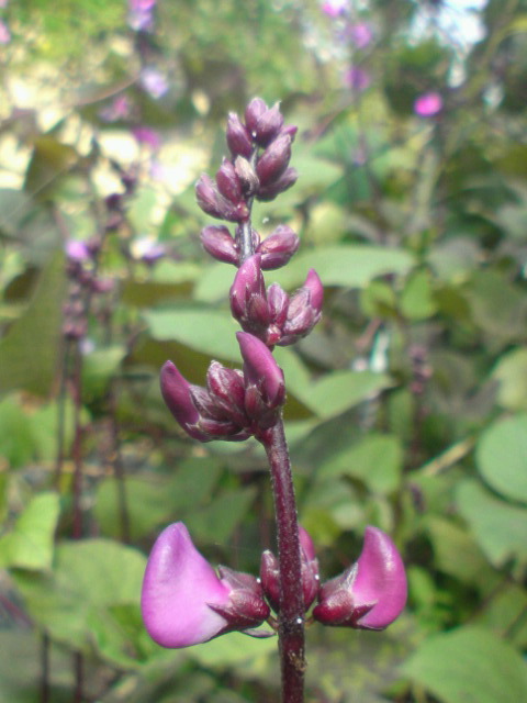 c0189747_2372635.jpg