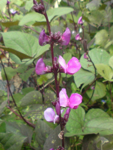 c0189747_2372651.jpg