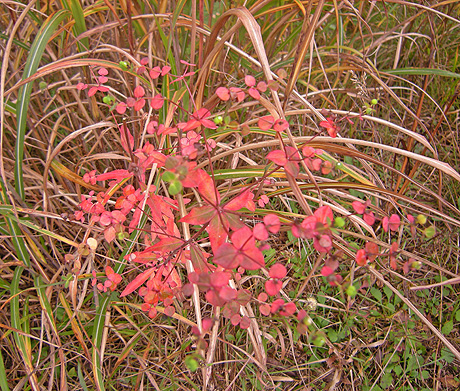 a0001354_17482860.jpg