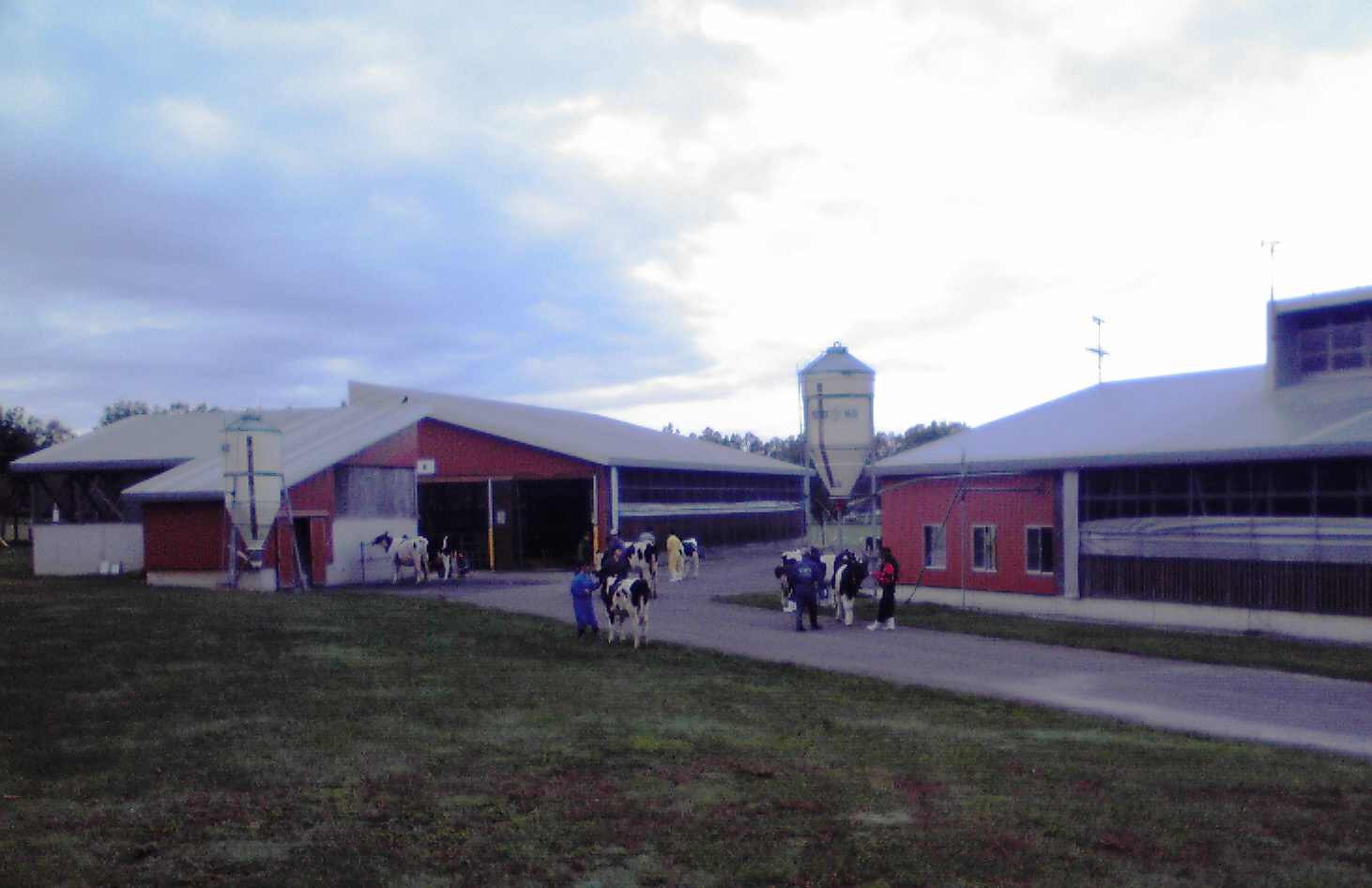 f0057955_2232939.jpg