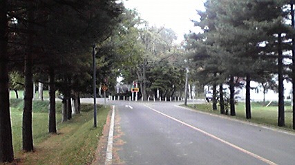 f0057955_22331619.jpg