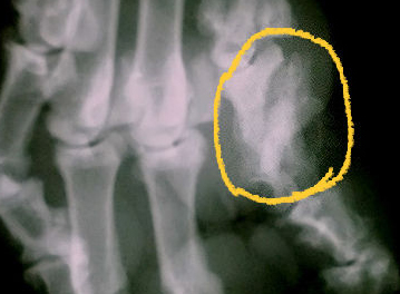 c0097558_2352093.jpg