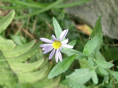 c0186463_0271567.jpg