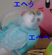 f0196665_0253613.jpg