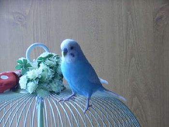 f0196665_071965.jpg