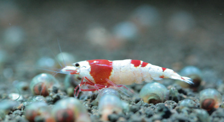 f0224970_2217208.jpg