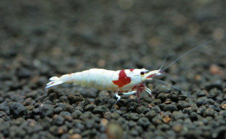 f0224970_22173523.jpg