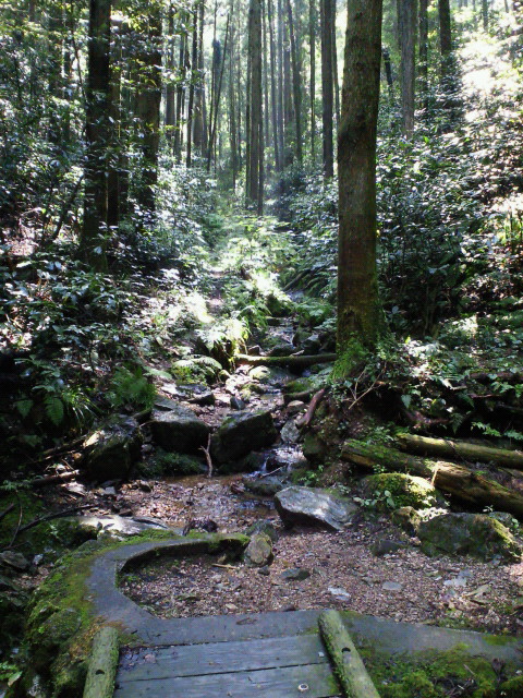 f0117673_2375917.jpg