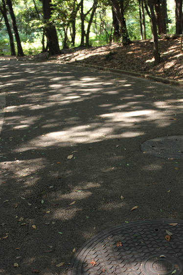 e0112077_655970.jpg