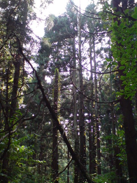 d0182179_12542754.jpg