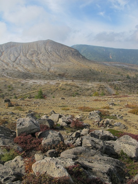 a0091680_16405735.jpg