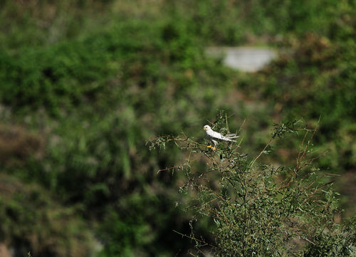 d0157380_16374191.jpg