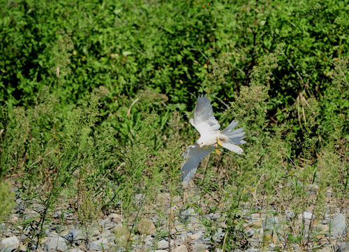 d0157380_1638892.jpg