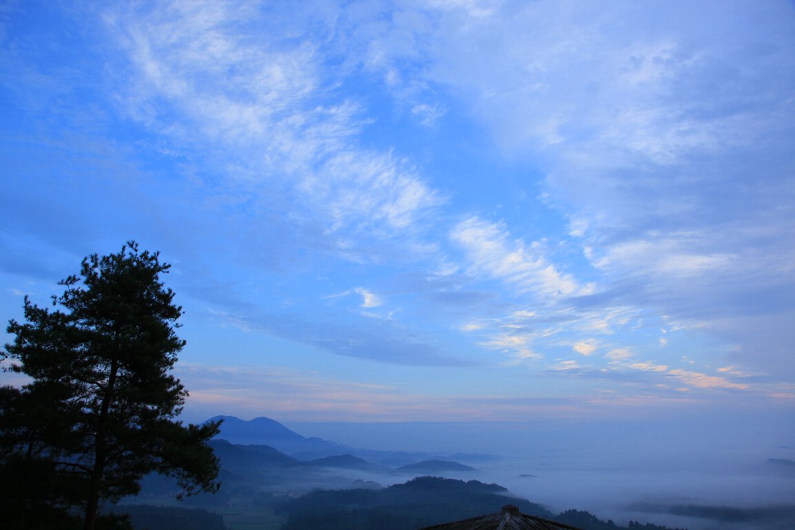 a0076683_21194864.jpg