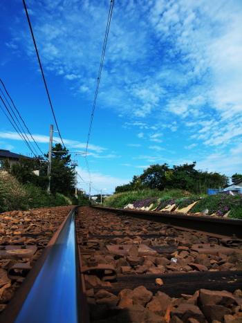 f0103688_211160.jpg