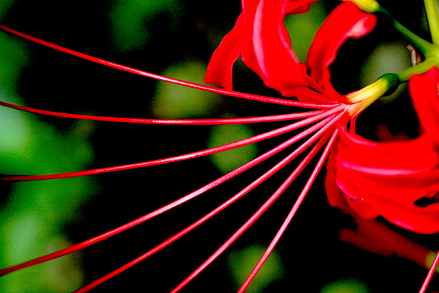 b0067789_23224783.jpg