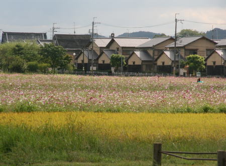 f0085889_15183235.jpg