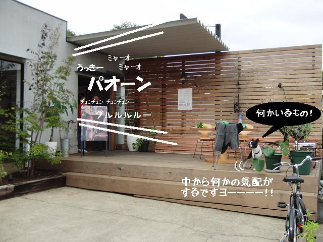 d0170590_2323140.jpg