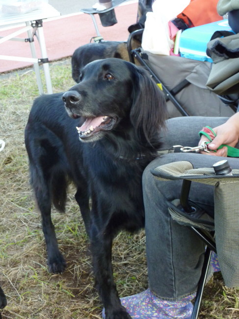 c0044199_22481041.jpg