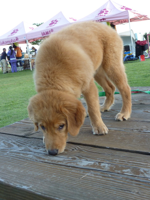 c0044199_22555517.jpg
