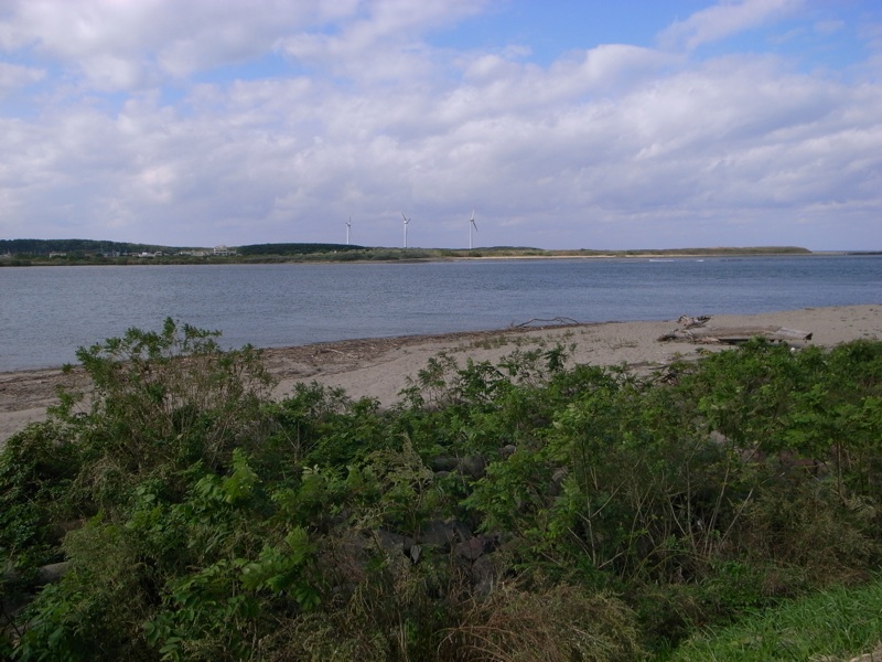 f0108399_019383.jpg