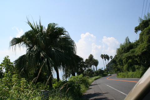 f0114900_20422265.jpg