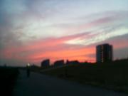 d0034501_23102548.jpg