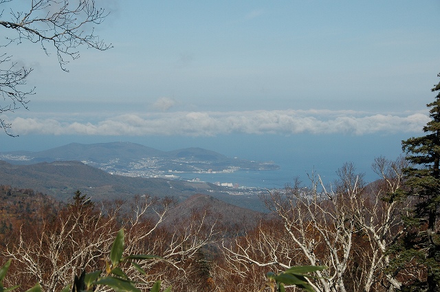 f0157901_10445584.jpg